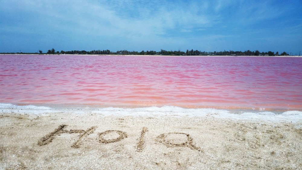 20180701_125112-01-011