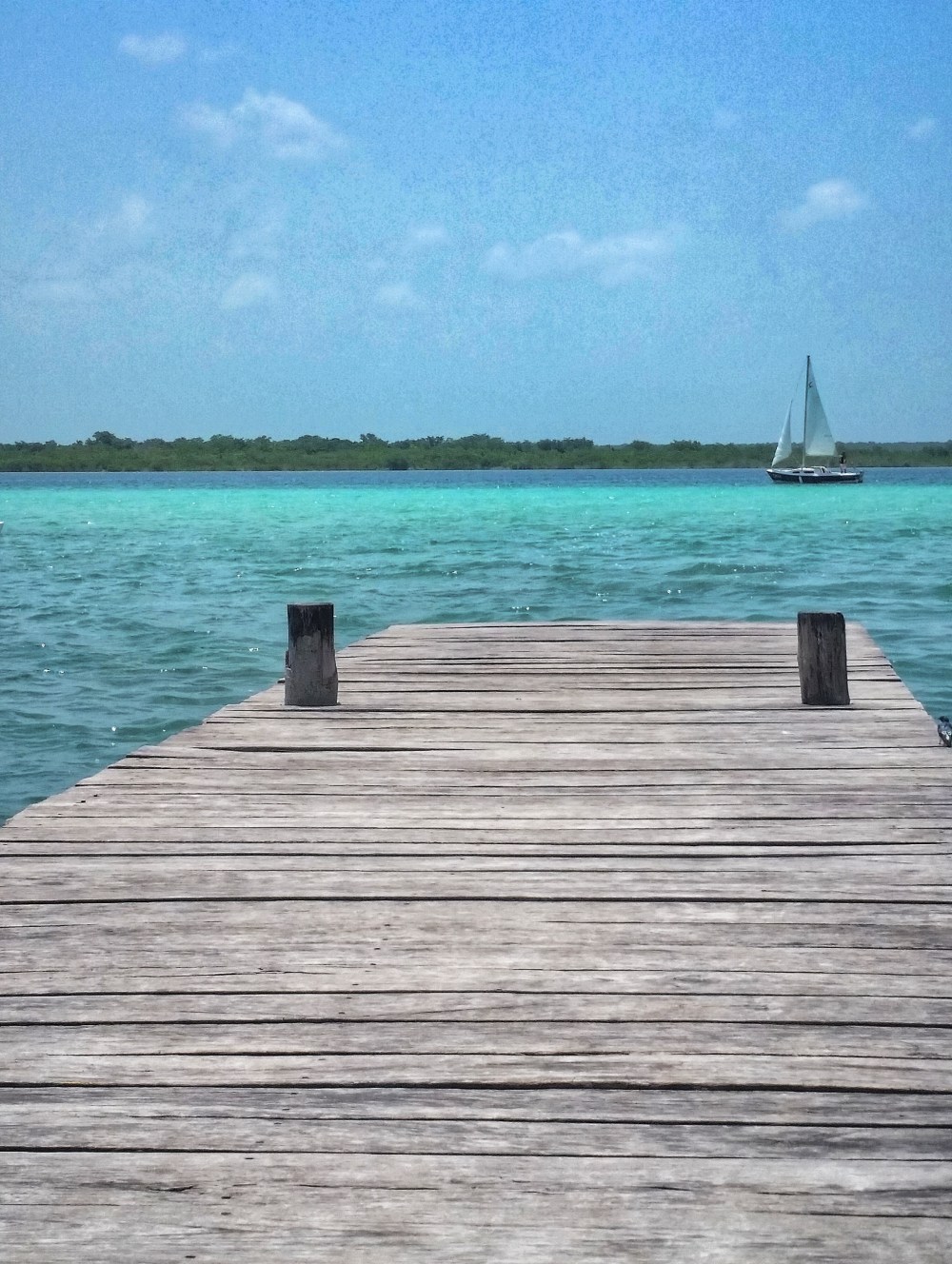 20180723_121154-01-01