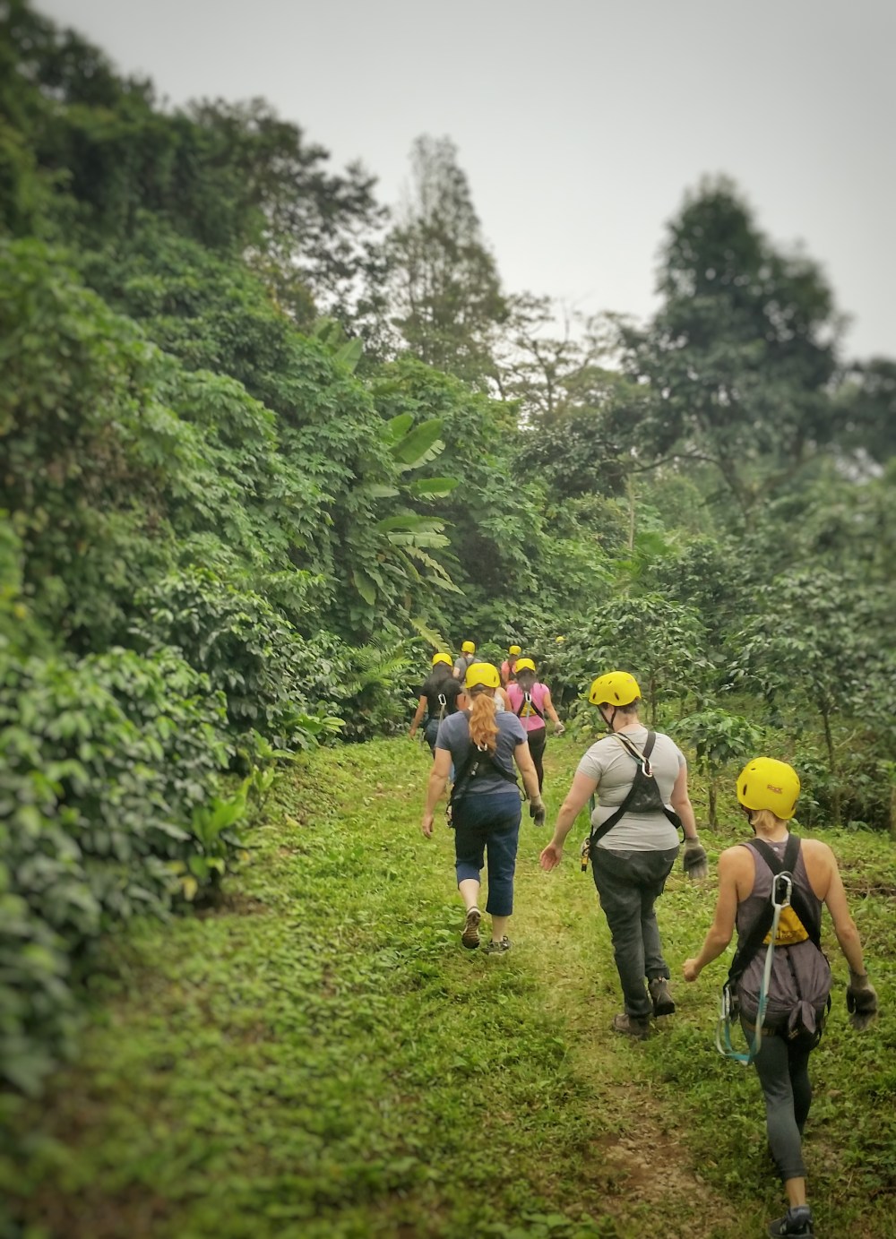 20180825_122731-01-1