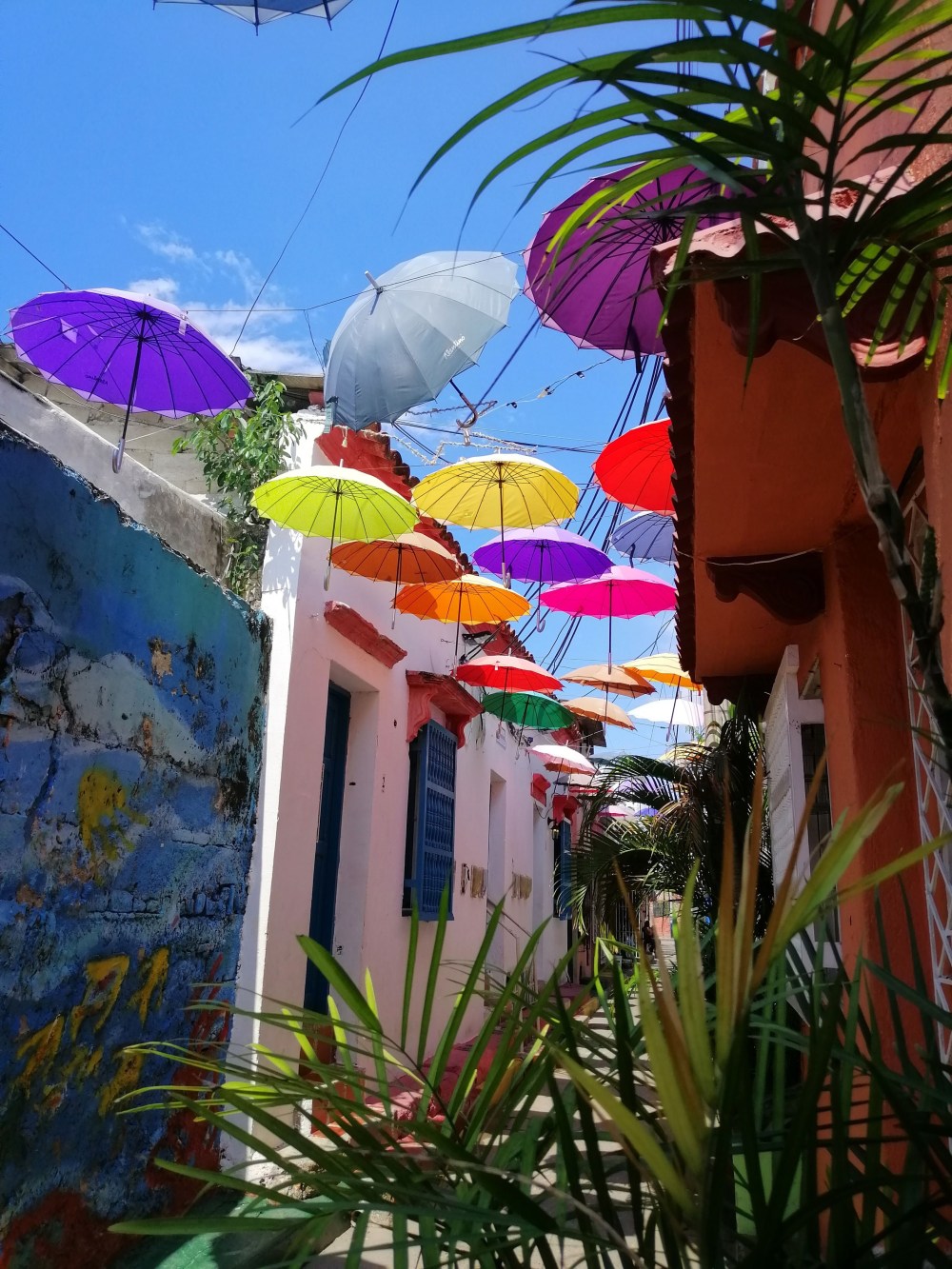 img_20190603_135625-01