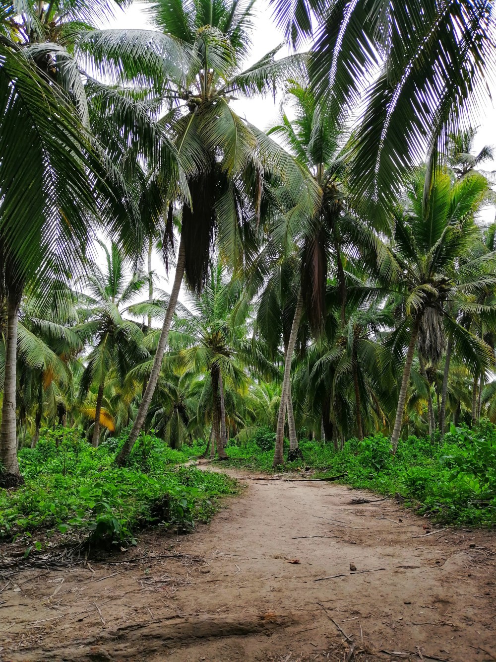 img_20190606_111001_1-01