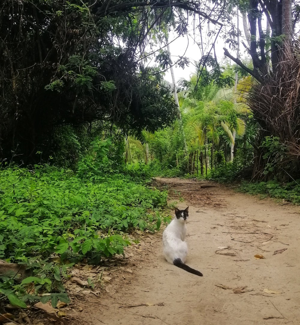 img_20190606_113158-01