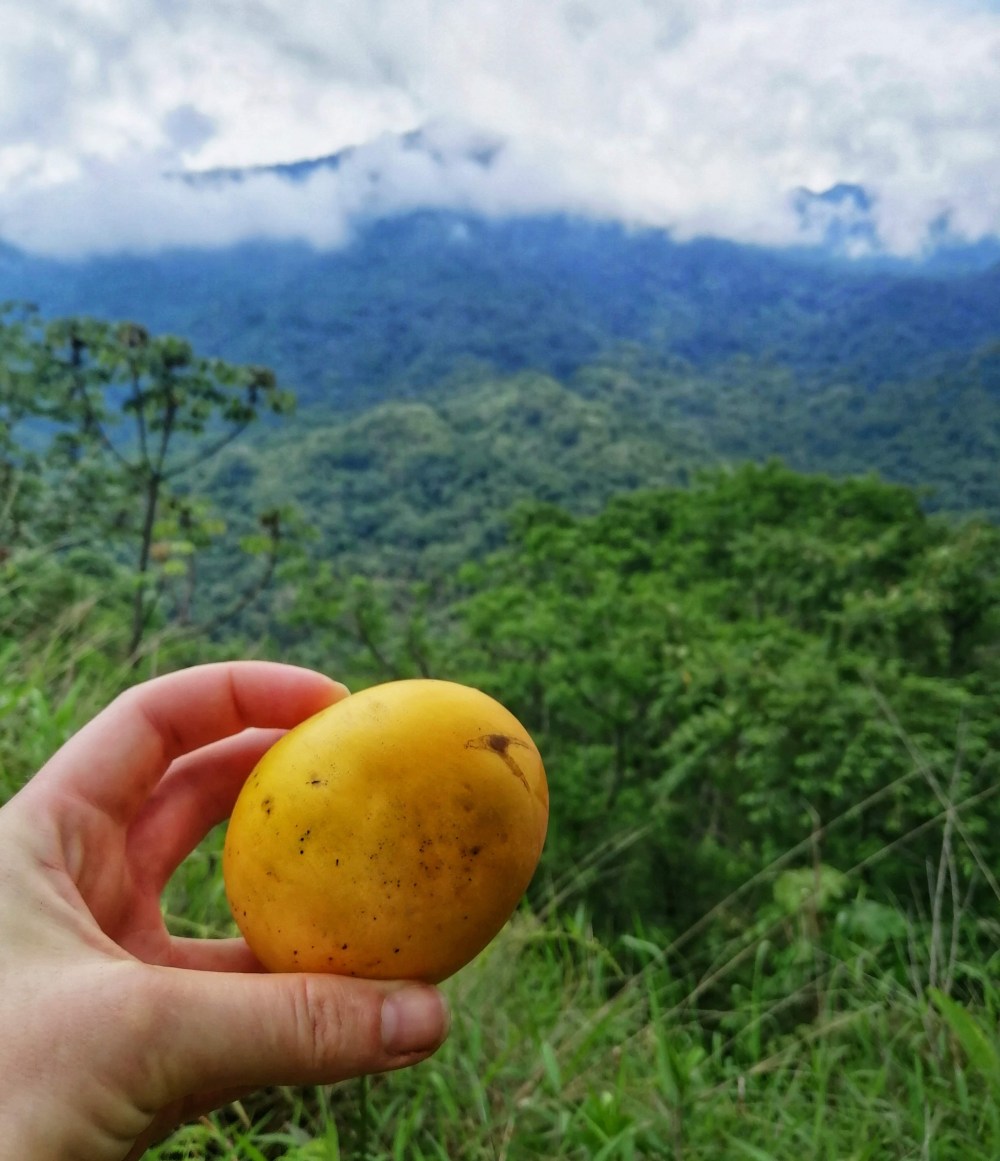 img_20190608_112220-01