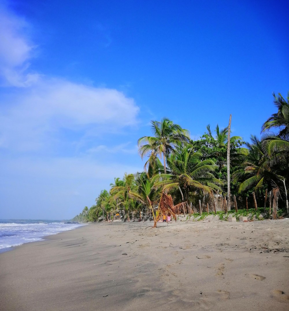 img_20190612_155858-01