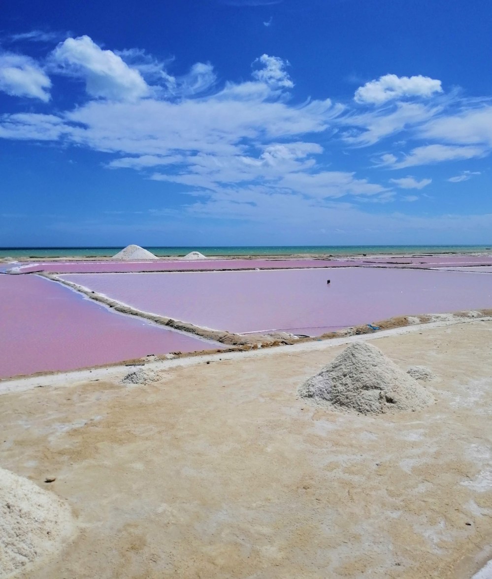 img_20190618_095015-01