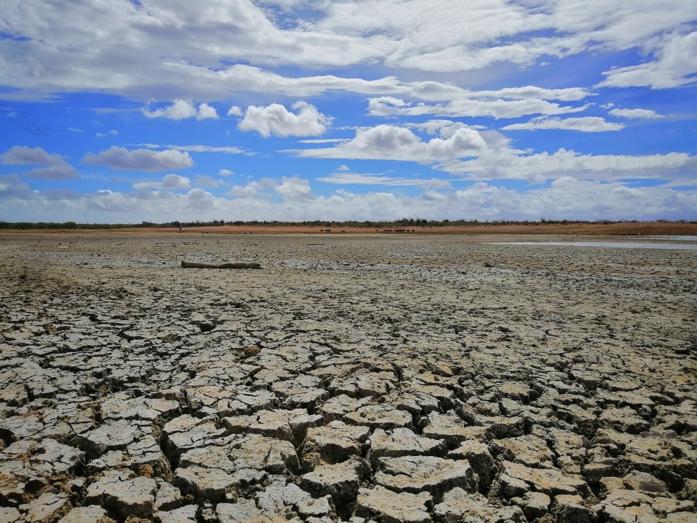 img_20190619_091948-01