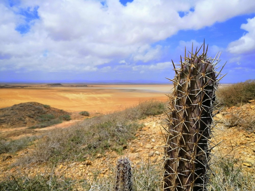 img_20190619_103802-01