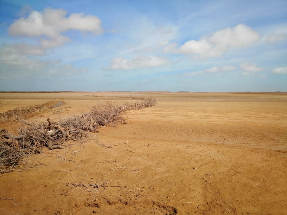 img_20190620_090836-01