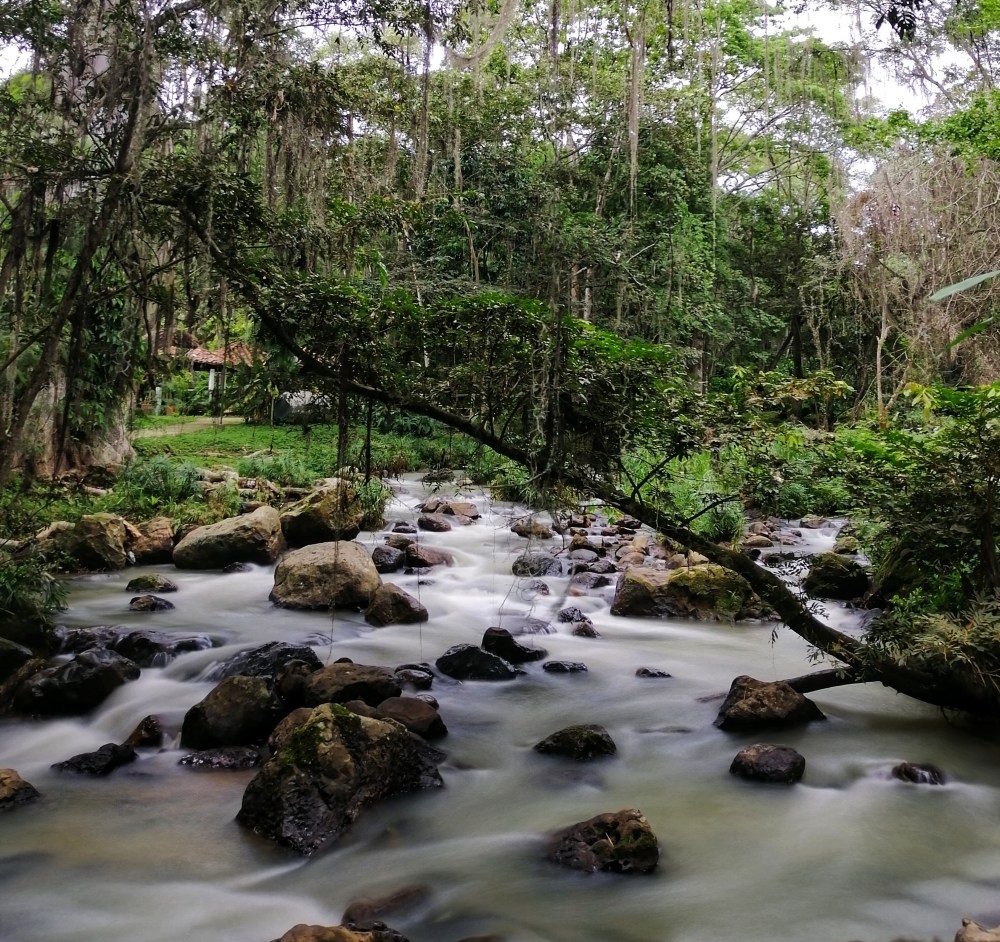 img_20190625_140420-01