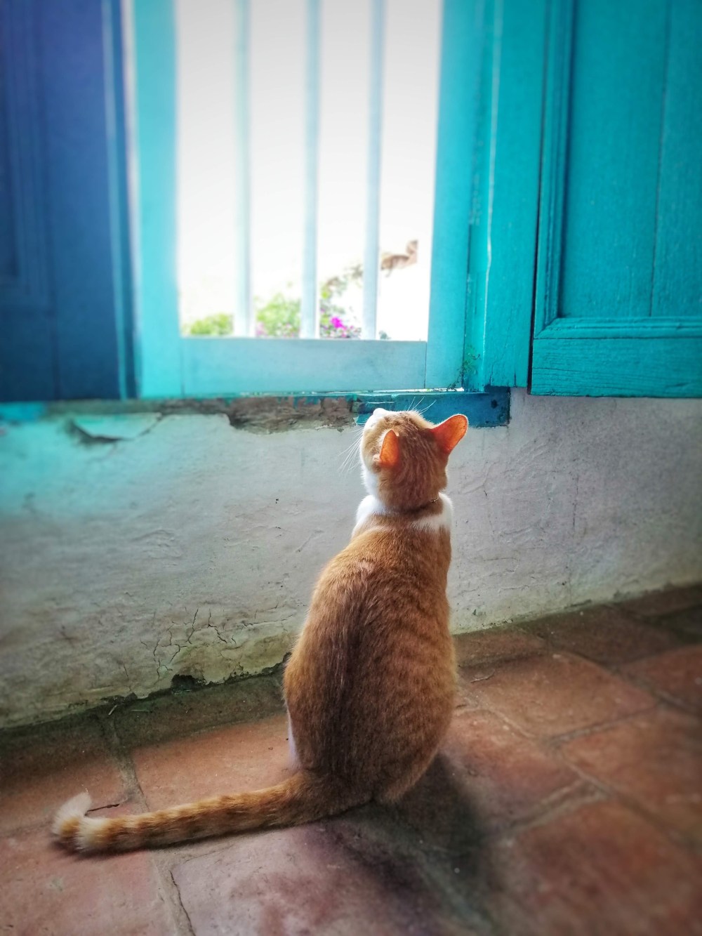 img_20190626_162601-01