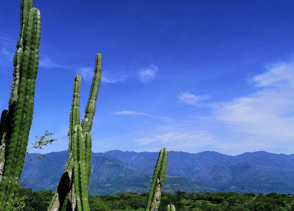 img_20190627_091518-01