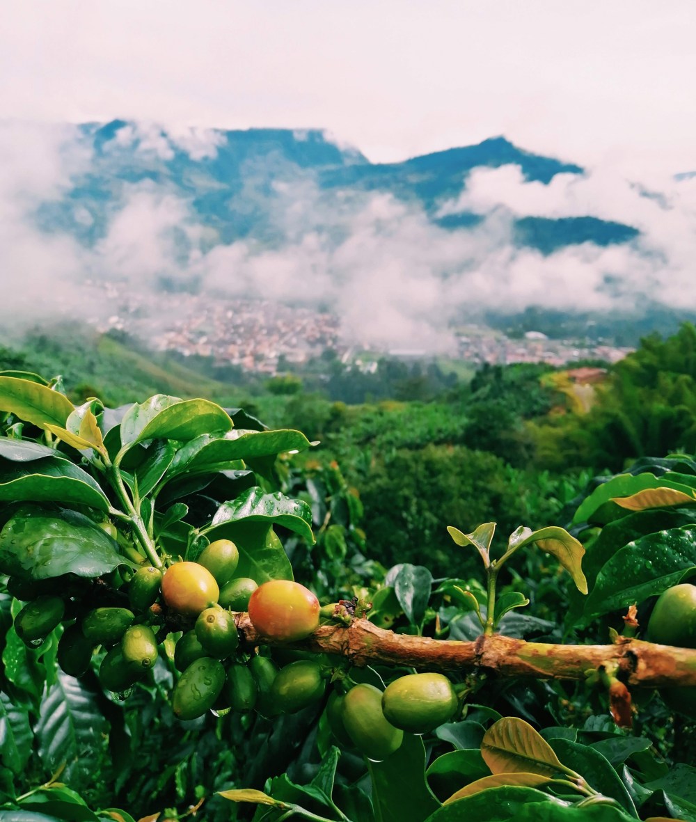 2019-11-19-09.52.11-1-01