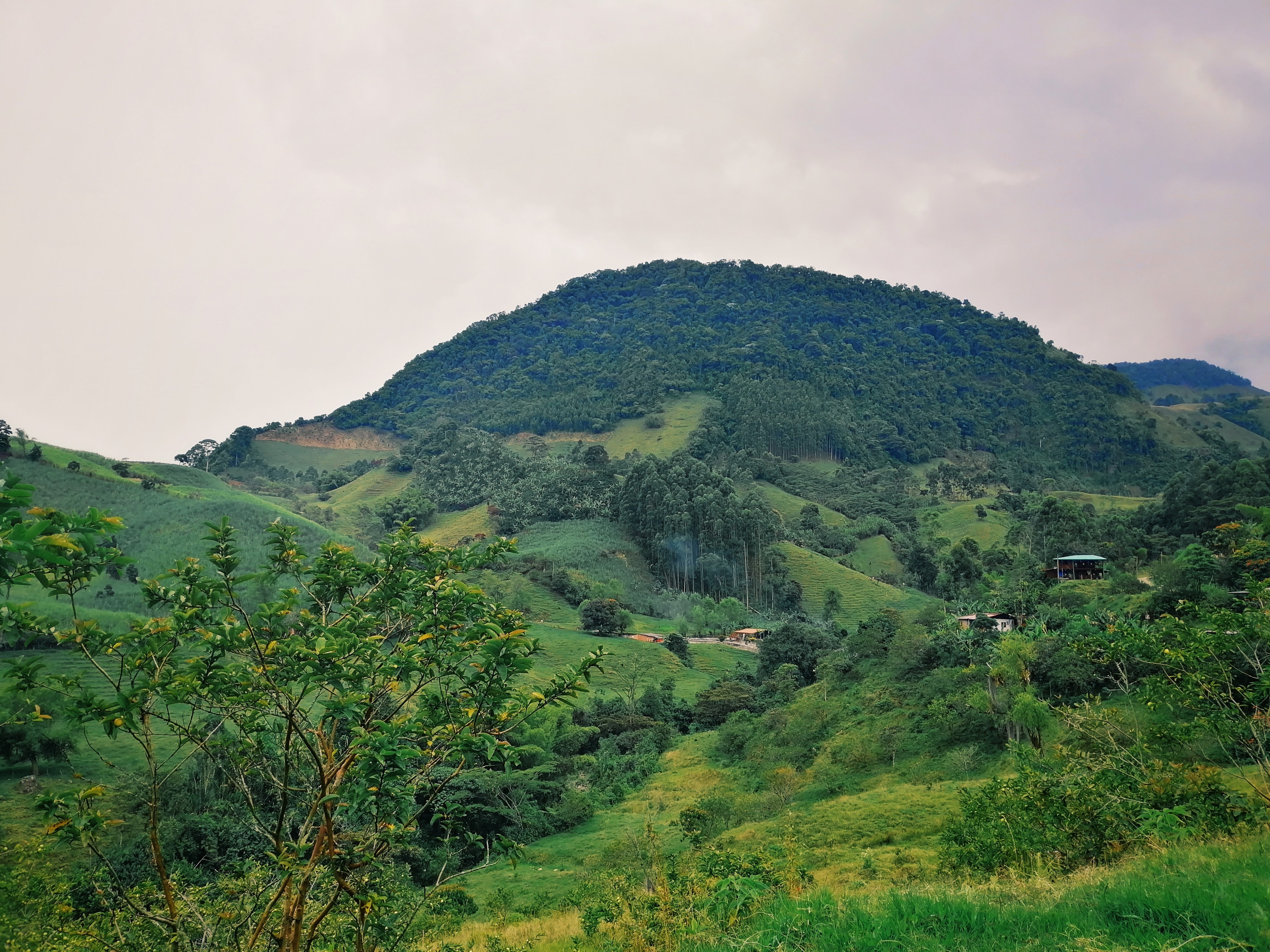 2019-12-04-11.49.37-1-01