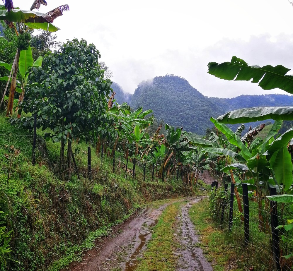 img_20190921_133201-01