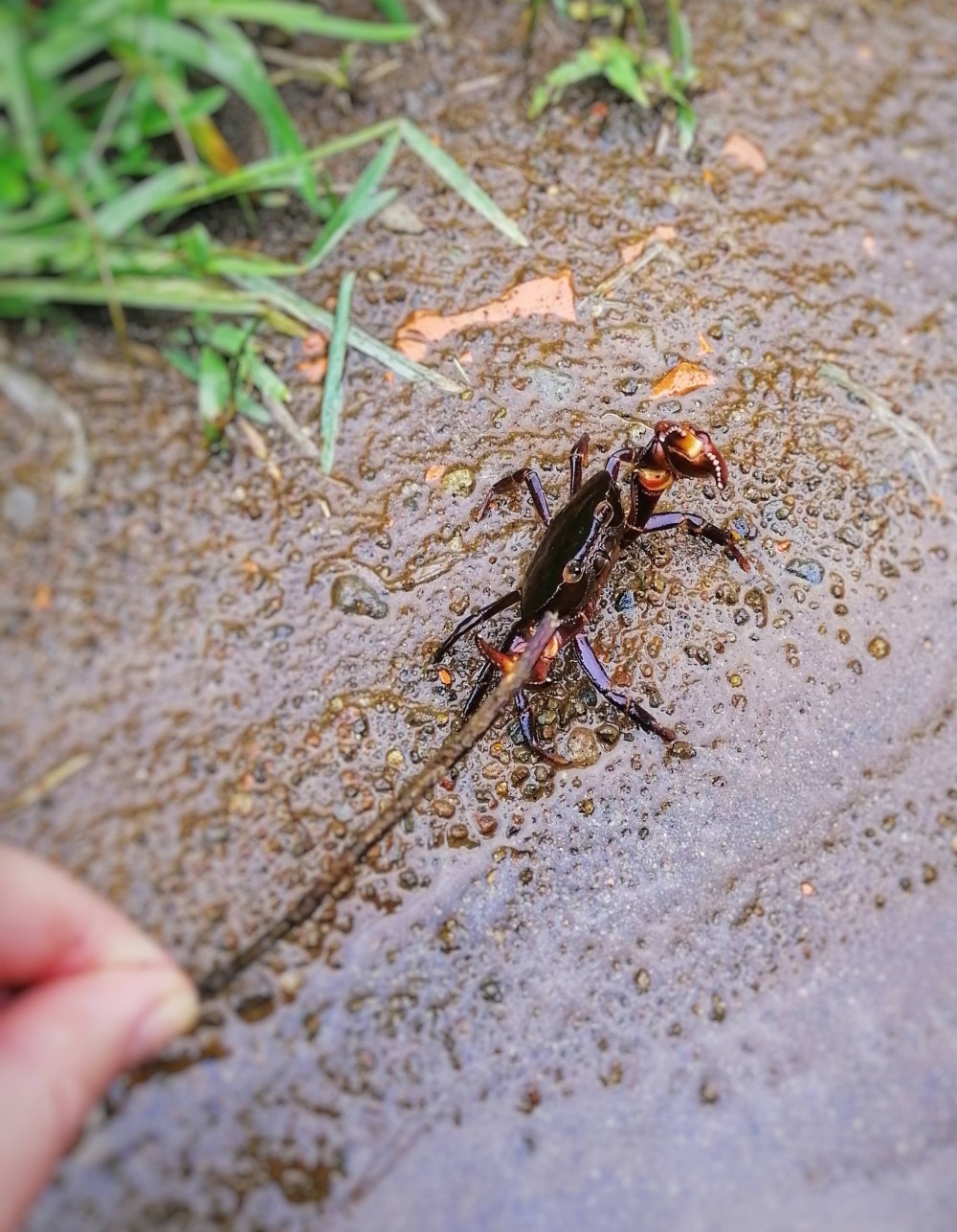 img_20190921_135931-01