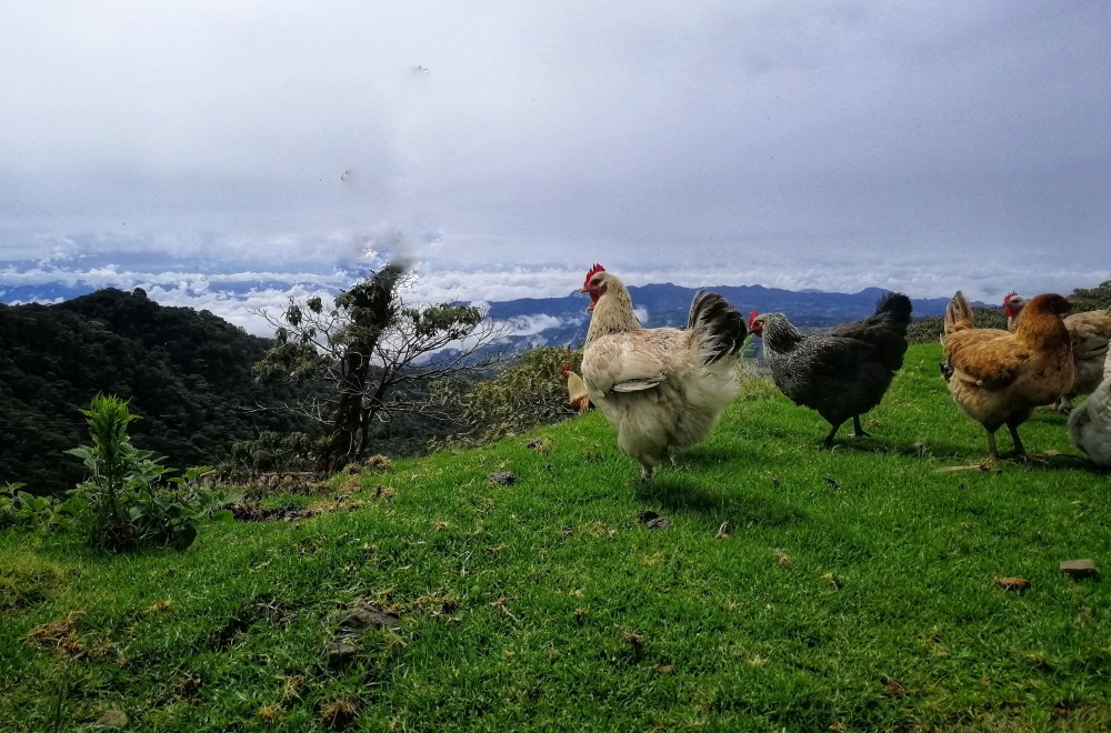 img_20190923_095221-01