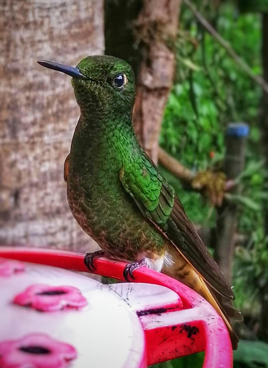 screenshot_20190924_143449_com.android.gallery3d-01-01